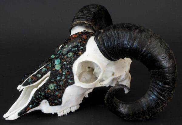 Cradling the Cosmos, a ram skull with turquoise and black horns.