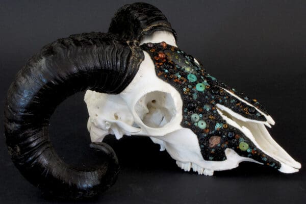 Cradling the Cosmos, a ram skull with turquoise and black horns.