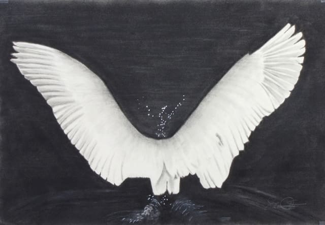 A drawing of a white eagle with wings spread.