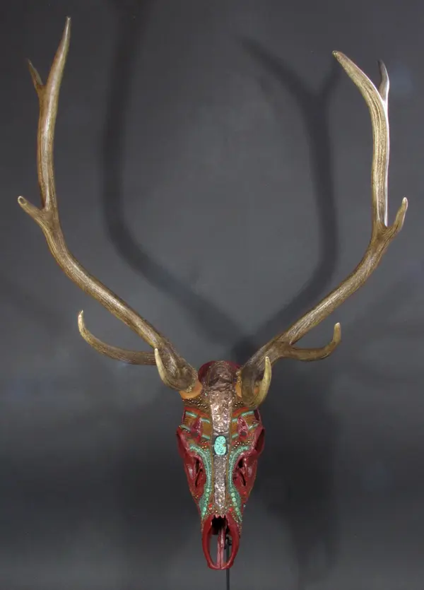 A deer head with antlers and horns on a wall.