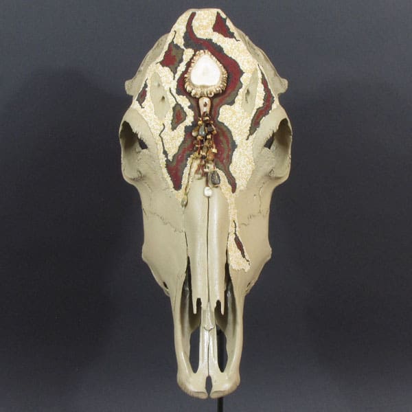 The skull of a horse is on display on a stand.