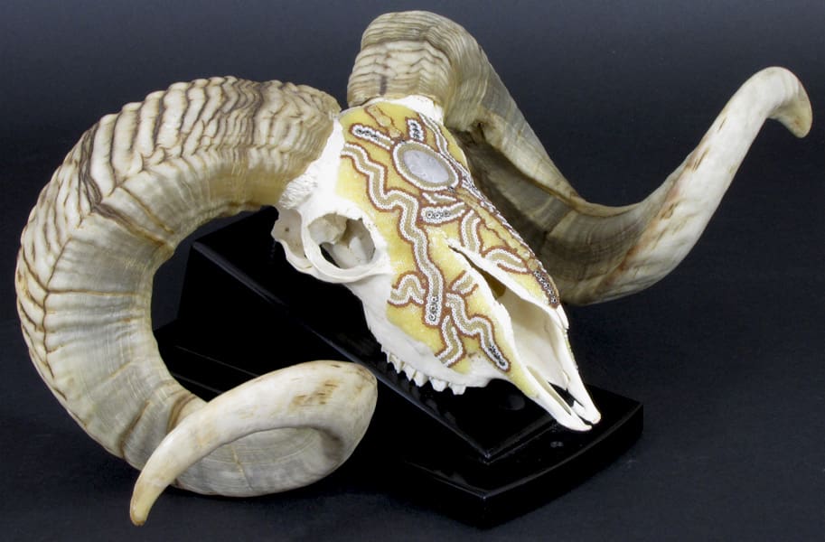 A ram skull with horns on a stand.