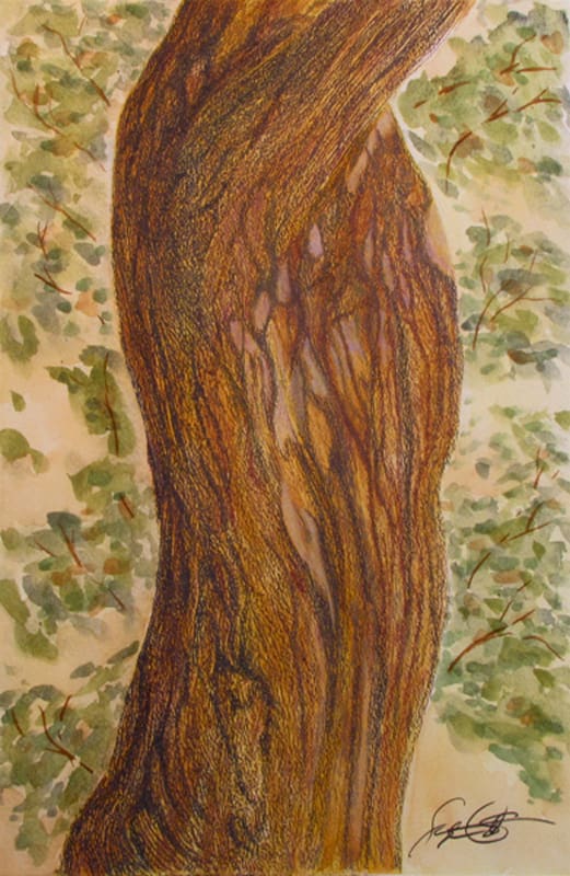 A watercolor painting of a tree trunk.