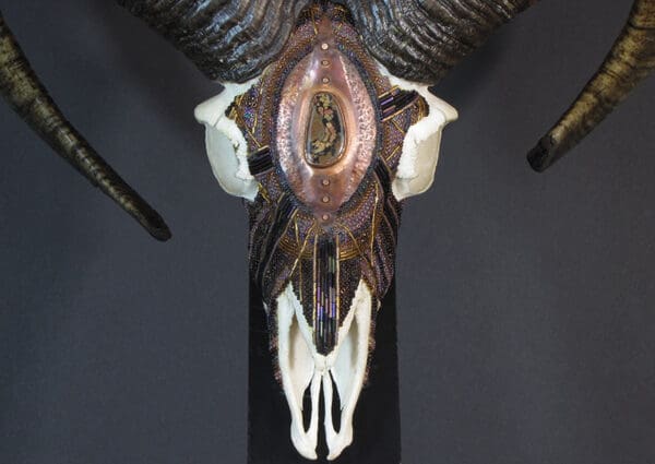 A Mouflon King skull with horns on a stand.
