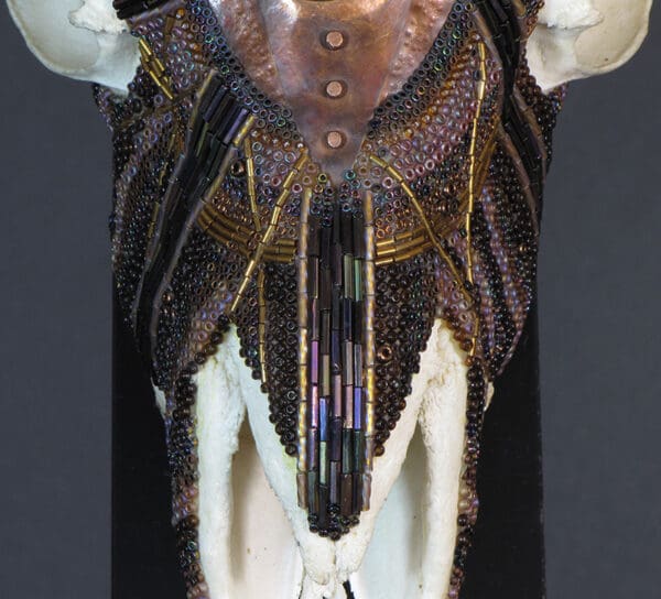 A Mouflon King with a beaded headdress on it.