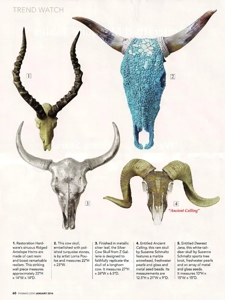 A magazine with a variety of cow skulls and horns.
