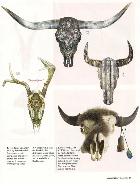 Four cow skulls with feathers and horns are shown in a magazine.