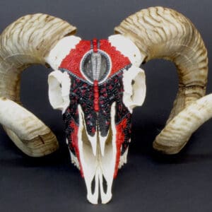 A Princely Counsel ram skull with red and white horns.
