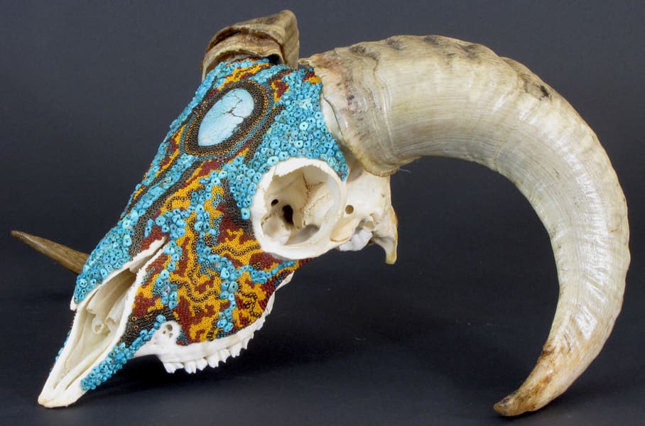 A ram skull with turquoise beads on it.