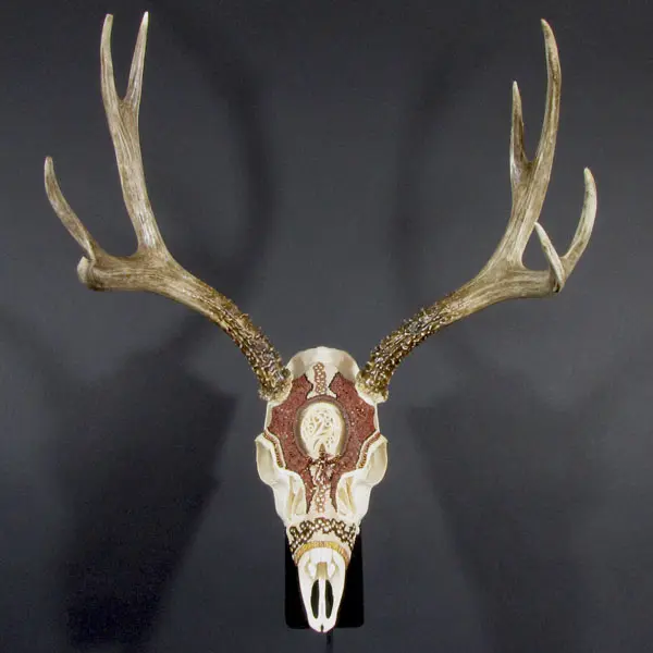 A deer skull is mounted on a wall.