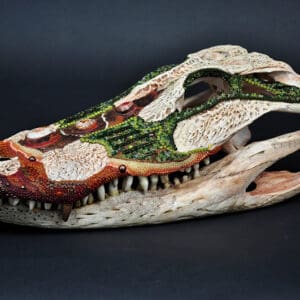 The Cajun Queen, a crocodile skull with teeth and claws on a black background.