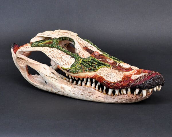 The Cajun Queen, a crocodile skull with teeth and claws on a black background.