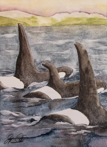 A watercolor painting of orca whales swimming in the ocean.