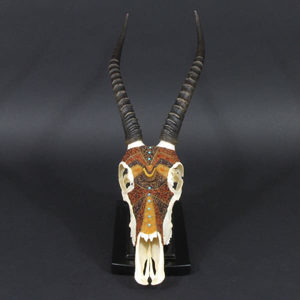 A horned antelope skull on a stand.