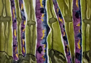 A painting of Aspen III birch trees.
