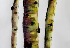 A painting of three Aspen II trees.