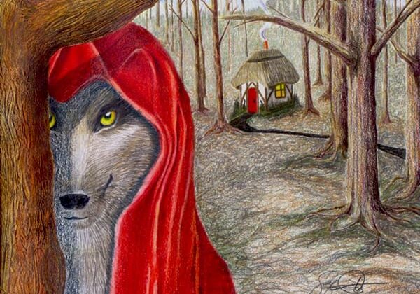 A drawing of a red hooded wolf in the woods.