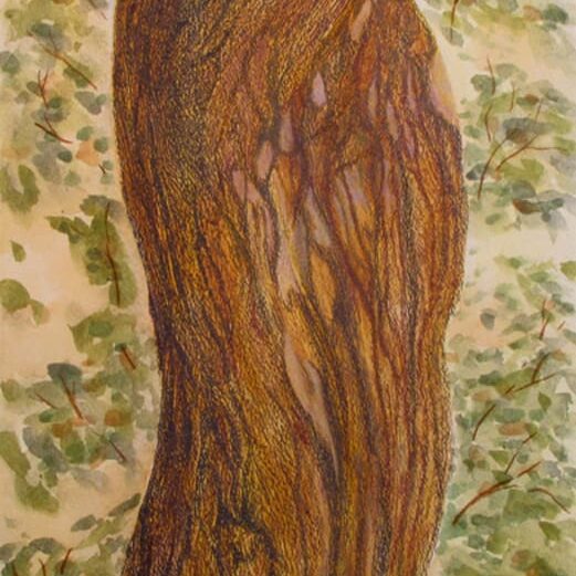 A watercolor painting of a tree trunk.