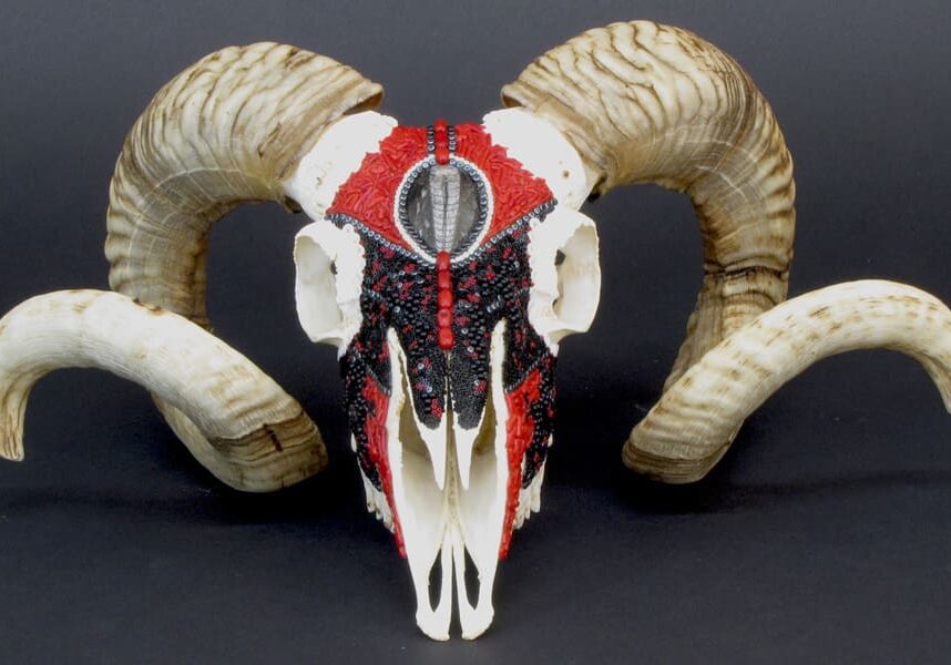 A Princely Counsel ram skull with red and white horns.