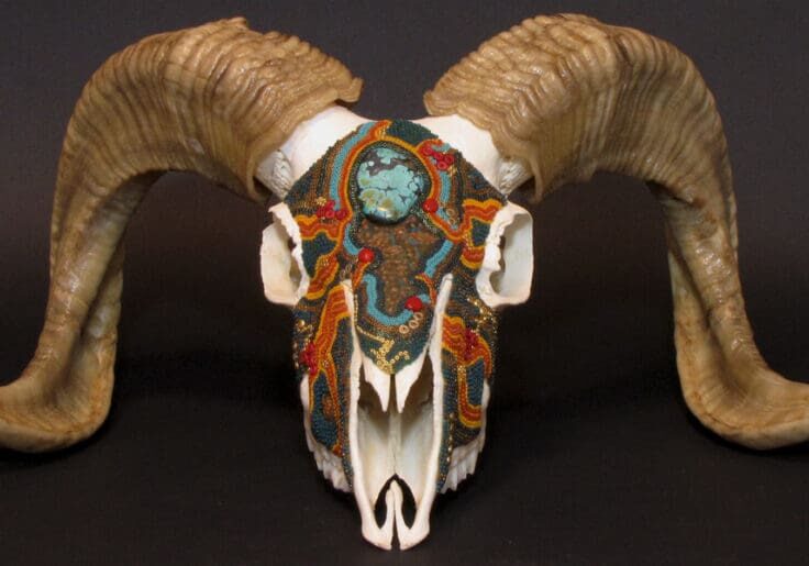 A ram skull with horns on it.