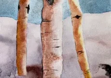 Aspen I: A watercolor painting of aspen trees in the snow.